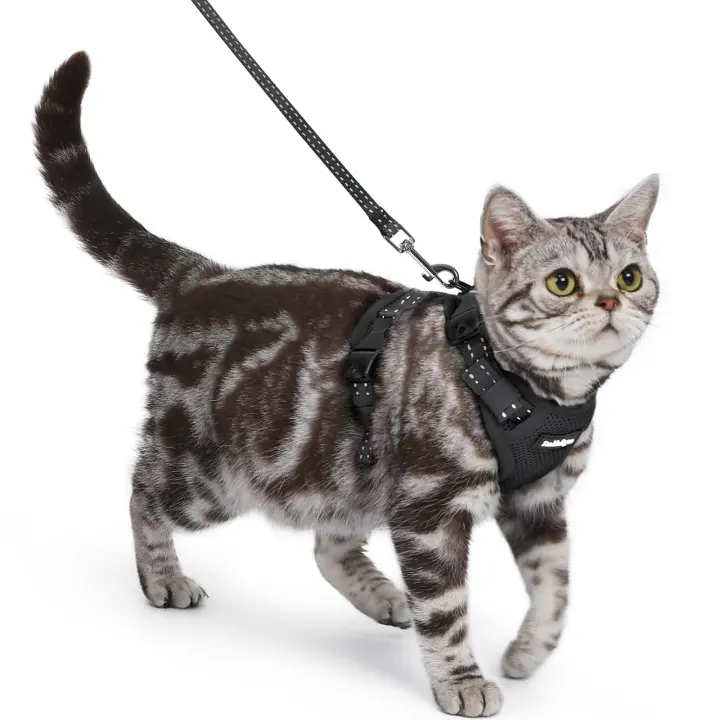 Cat Harness & Leash — Easy-On, Escape-Proof Soft Mesh (Black)
